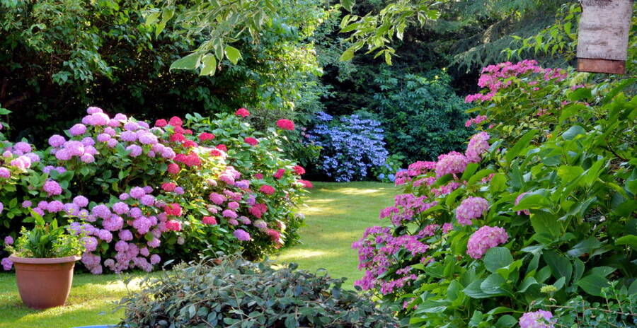 Garden Design by Apple Valley Eco Landscapes