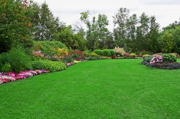 Weed Control & Lawn Fertilization in Smith Village, Oklahoma by Apple Valley Eco Landscapes