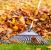Village Fall Clean Up by Apple Valley Eco Landscapes