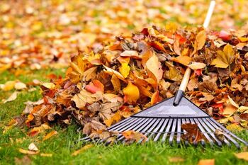 Fall Clean Up services in Moore, Oklahoma