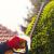 Village Pruning by Apple Valley Eco Landscapes