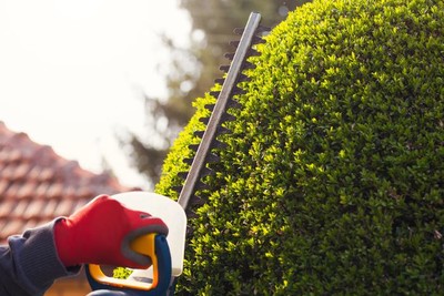 Pruning in Smith Village, Oklahoma