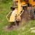 Village Stump Grinding & Removal by Apple Valley Eco Landscapes