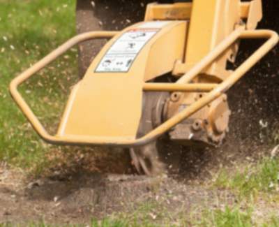Stump grinding and removal in Smith Village, Oklahoma by Apple Valley Eco Landscapes