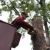 Village Tree Services by Apple Valley Eco Landscapes