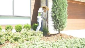 Spring Clean Up in Oklahoma City, OK (2)