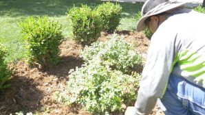 Spring Clean Up in Oklahoma City, OK (1)