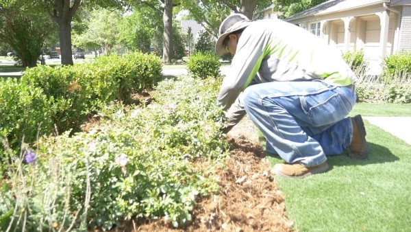 Spring Clean Up in Oklahoma City, OK (3)