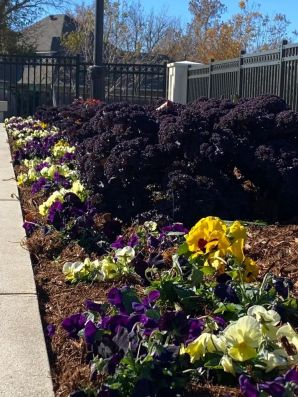 Commercial Landscaping in Oklahoma City, OK (2)
