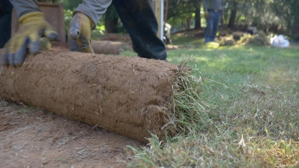 Lawn Installation in Oklahoma City, OK (1)